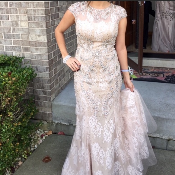 terani evening gowns